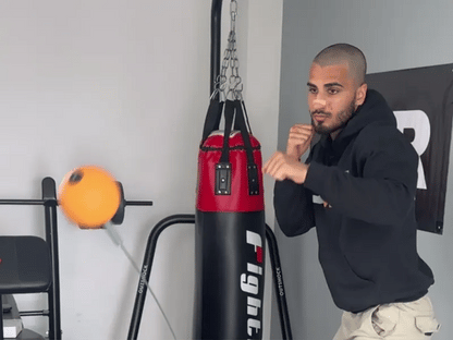 Boxing Reflex Ball